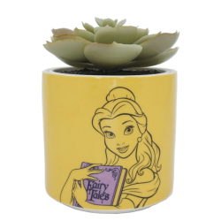 Disney Beauty & The Beast - Plant Pot Faux Boxed (6.5cm)
