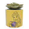 Disney Beauty & The Beast - Plant Pot Faux Boxed (6.5cm)