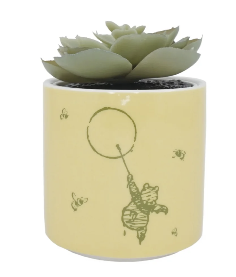 engraved plant pot 6 Inch Custom Engraved Terracotta Plant Pot with Saucer