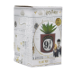 Harry Potter (Platform 9) - Plant Pot Faux Boxed (6.5cm)