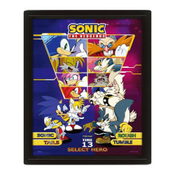 Sonic The Hedgehog (Select Your Fighter) 10 x 8" 3D Lenticular Poster (Framed)