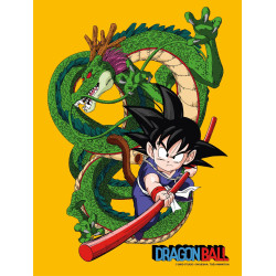 Dragon Ball: Kid Goku and Shenron 30 x 40 cm Glass Poster