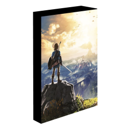 Legend Of Zelda (Into The Wilds) 30 x 40cm Light Up Canvas