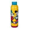 Disney Mickey and Minnie Stainless Steel Water Bottle