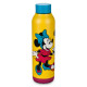 Disney Mickey and Minnie Stainless Steel Water Bottle