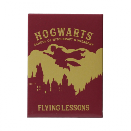 Harry Potter - Magnet - Flying Lessons