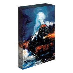 Harry Potter Hogwarts Express - Light up Canvas 30x40cm