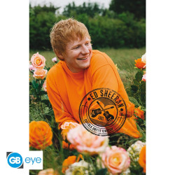 Ed Sheeran Rose Field - Maxi Poster (MH5)