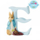 Peter Rabbit Alphabet - "E" - Peter Rabbit with Onions
