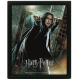 Harry Potter - Severus Snape- 3D Poster Framed 26x20cm