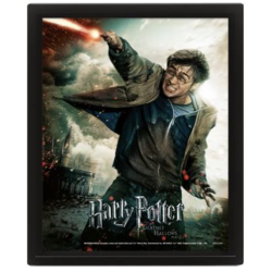 Harry Potter - Expelliarmus - 3D Poster Framed 26x20cm