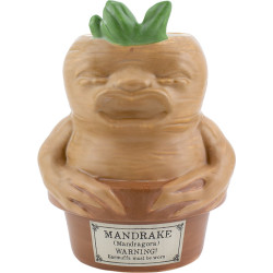 Harry Potter - Mandrake - Plant & Pen Pot