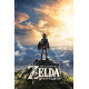 The Legend Of Zelda Breath Of The Wild - Maxi Poster