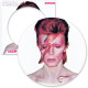 David Bowie, Aladdin Sane Disc Jigsaw 450 pcs