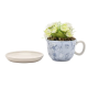 Disney Alice in Wonderland Theekop Plantenpot met Kunstplantje