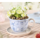 Disney Alice in Wonderland Theekop Plantenpot met Kunstplantje