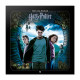 Harry Potter Square 2025 Calendar