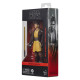 Star Wars: The Acolyte Black Series Action Figure Jedi Knight Yord Fandar 15 cm