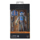 Star Wars: The Mandalorian Black Series Action Figure Mandalorian Shriek-Hawk 15 cm