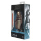 Star Wars: Ahsoka Black Series Action Figure Shin Hati (Arcana) 15 cm