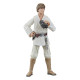 Star Wars Episode IV Black Series Action Figure Luke Skywalker 15 cm