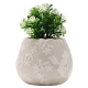 Disney Alice in Wonderland Set of 2 Mini Planters with Faux Plants