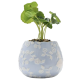 Disney Alice in Wonderland Set of 2 Mini Planters with Faux Plants