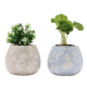 Disney Alice in Wonderland Set of 2 Mini Planters with Faux Plants