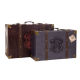 Harry Potter Alumni Burgundy Suitcase Set of 2
