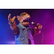 Alf Action Figure Ultimate Born to Rock Alf 15 cm