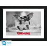 Gremlins - Framed print "Gizmo" (30x40)