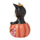 Disney Traditions - Figaro In Jack-O-Lantern Mini