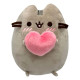 Pusheen with Heart Plush