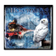 Harry Potter Hedwig Painting 50×50 cm