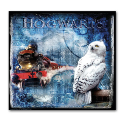 Harry Potter Hedwig Painting 50×50 cm