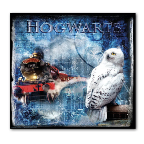Harry Potter Hedwig Painting 50×50 cm