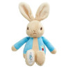 Peter Rabbit Mini Plush