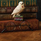 Jim Shore - Harry Potter - Mini Hedwig Figurine