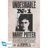 Harry Potter - Poster Maxi 91.5x61 - Undesirable n°1 (74)