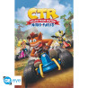 Crash Team Racing - Poster Maxi 91.5x61 - Cover (N15)