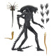 NECA Alien: Romulus Action Figure Ultimate Xenomorph XX121 18 cm