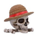 One Piece Storage Box Luffy Jolly Roger