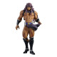 JoJo's Bizarre Adventure: Battle Tendency PVC Statue Kars 25 cm