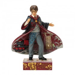 Pre-Order Harry Potter Magical Moment (Harry Potter Robe Scene)