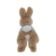 Peter Rabbit - Lying Peter Rabbit Plush Small