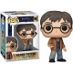 Funko Pop 196 Harry Potter with Resurrection Stone