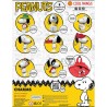 Blind Capsule 65mm. Snoopy Charms