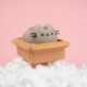 Pusheen Spaarpot