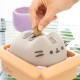 Pusheen Spaarpot