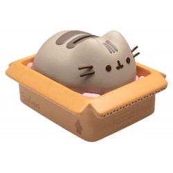 Pusheen Spaarpot